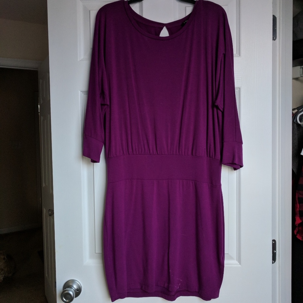 Express soft plum dress